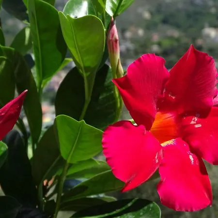 Casa Dell'aura Frühstückspension 3*