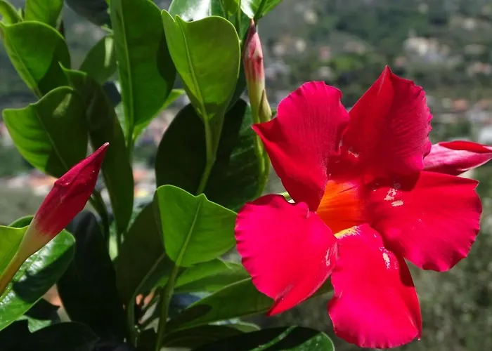 Casa Dell'aura Panzió 3*